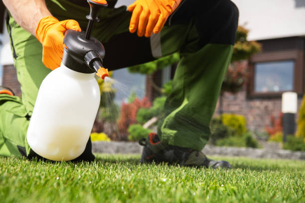 Best Affordable Pest Control Services  in Lake St Croix Beach, MN