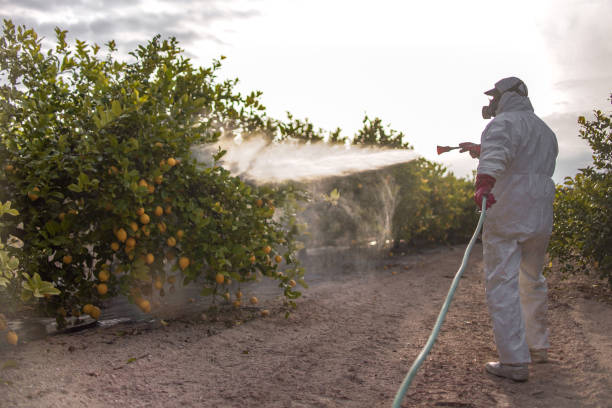Best Affordable Pest Control Services  in Lake St Croix Beach, MN