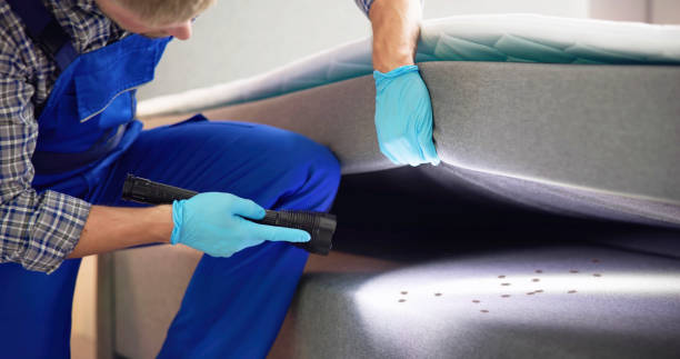 Best Wasp Removal Services  in Lake St Croix Beach, MN