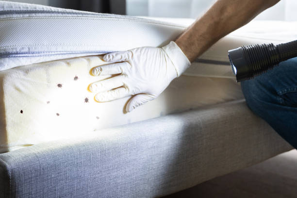 Best Residential Pest Control  in Lake St Croix Beach, MN
