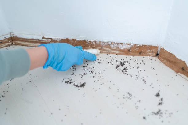 Best Residential Pest Control  in Lake St Croix Beach, MN