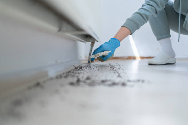Best Wasp Removal Services  in Lake St Croix Beach, MN